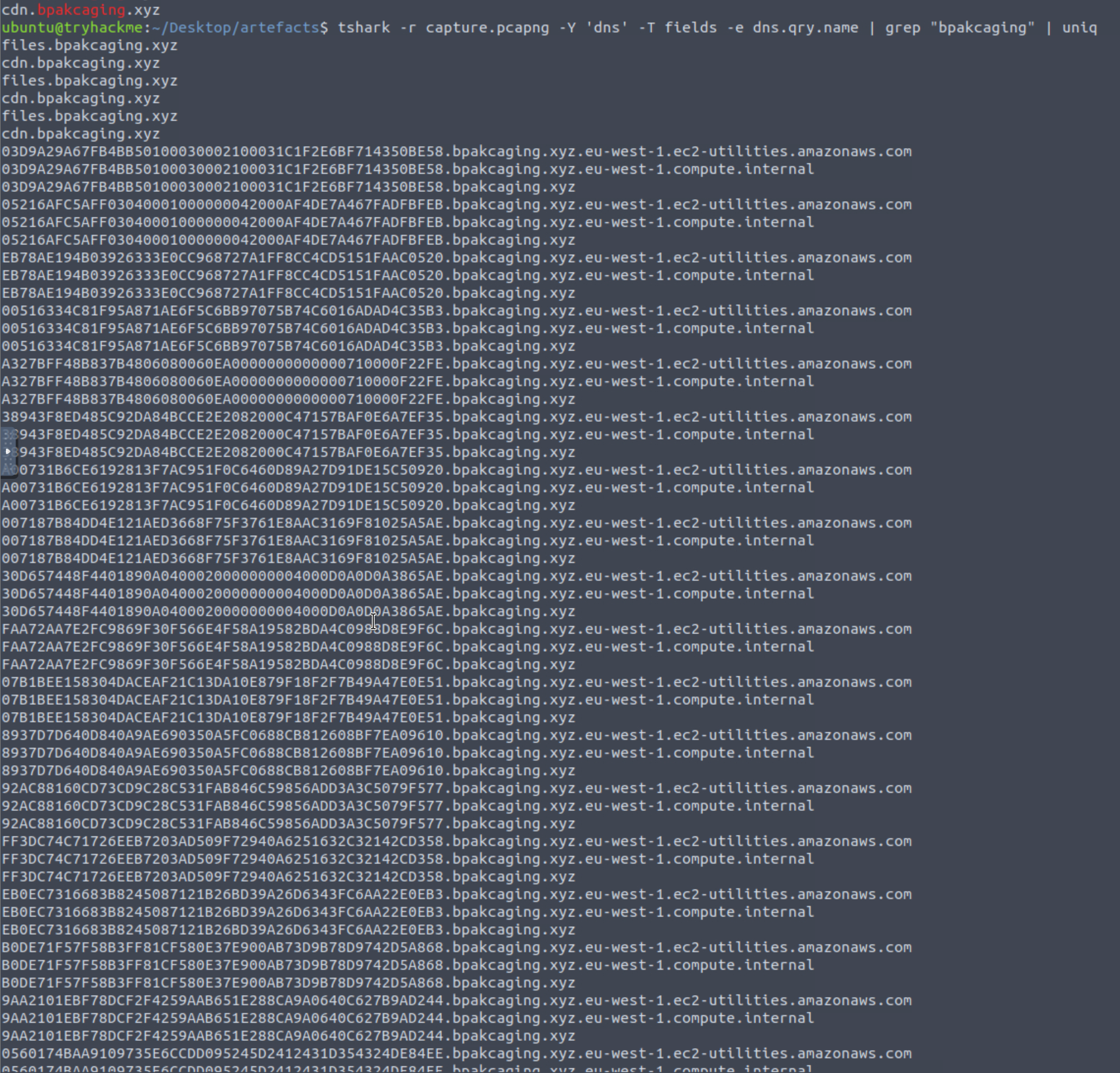 DNS